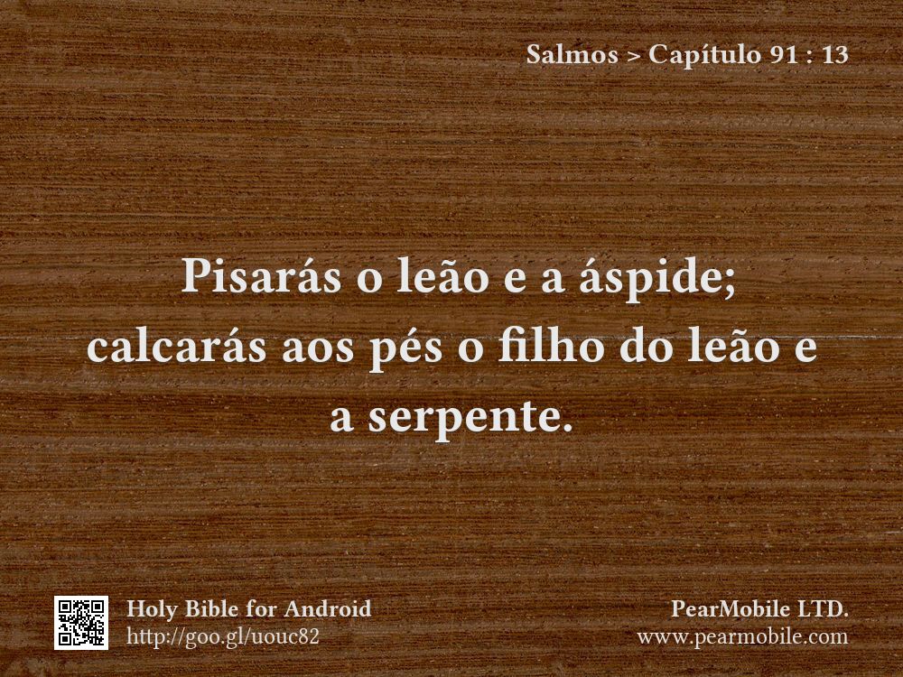 Salmos, Capítulo 91:13